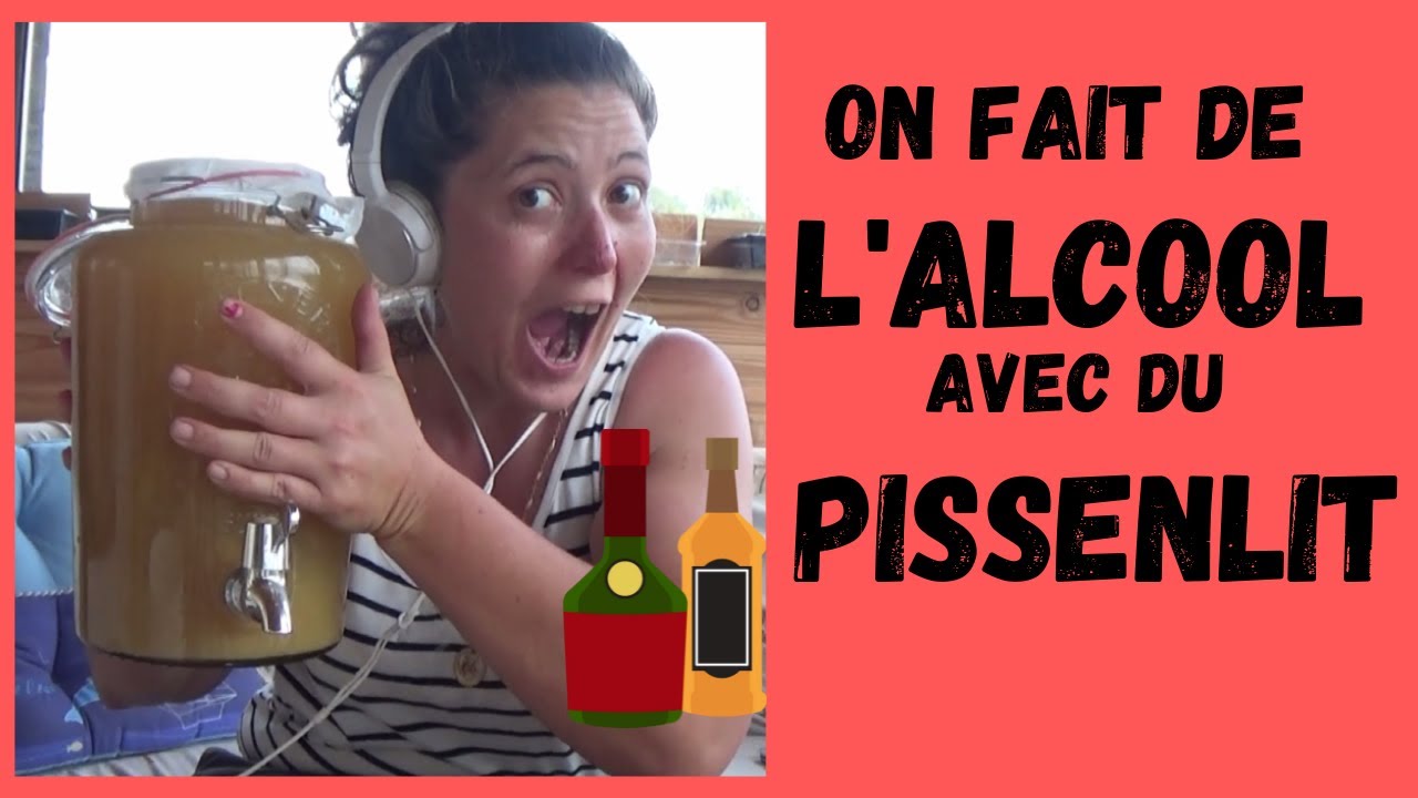 La SUPER BONNE RECETTE du vin de pissenlit