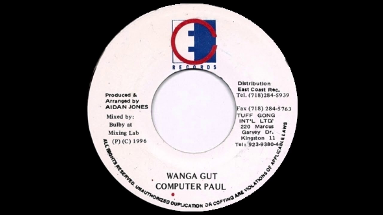 Computer Paul : Wanga Gut