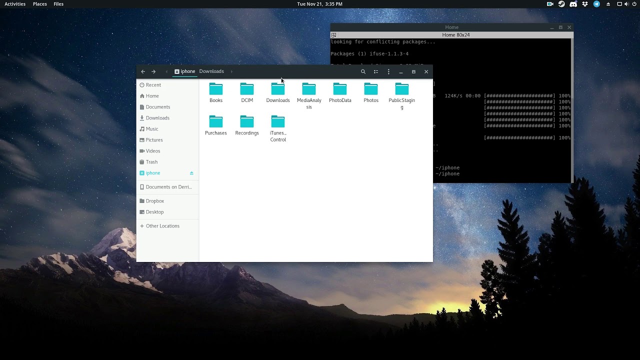 Как получить доступ к вашему iPhone в Linux