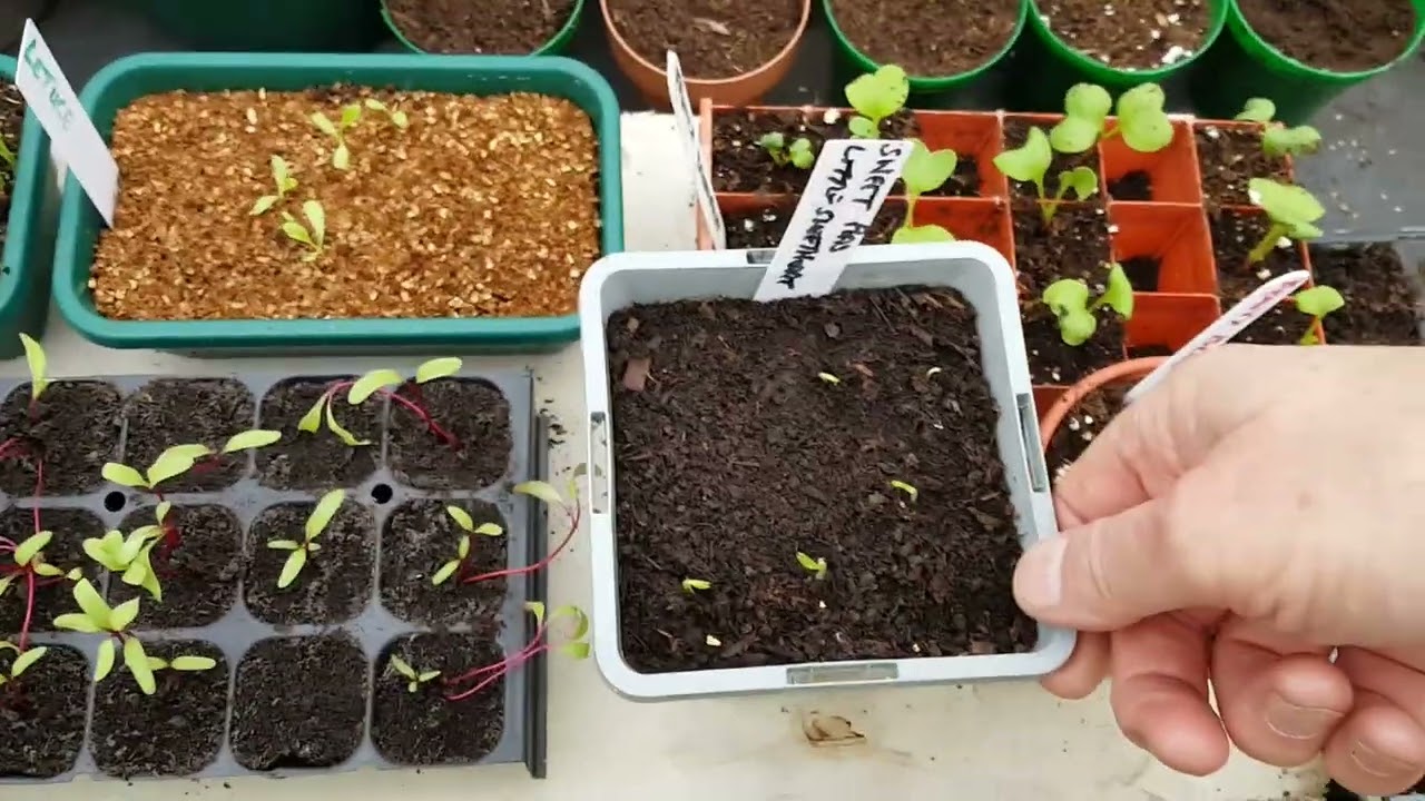 End of Feb 2026 Plot Tour