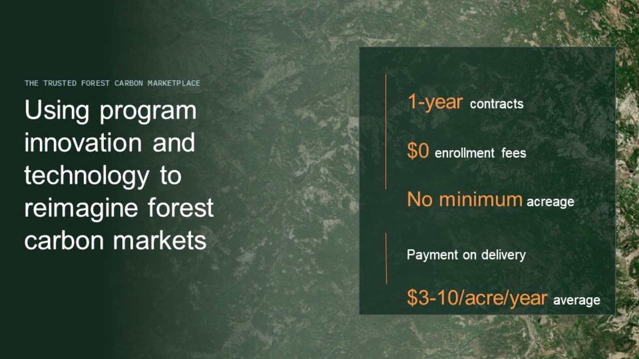 NCX Carbon Market