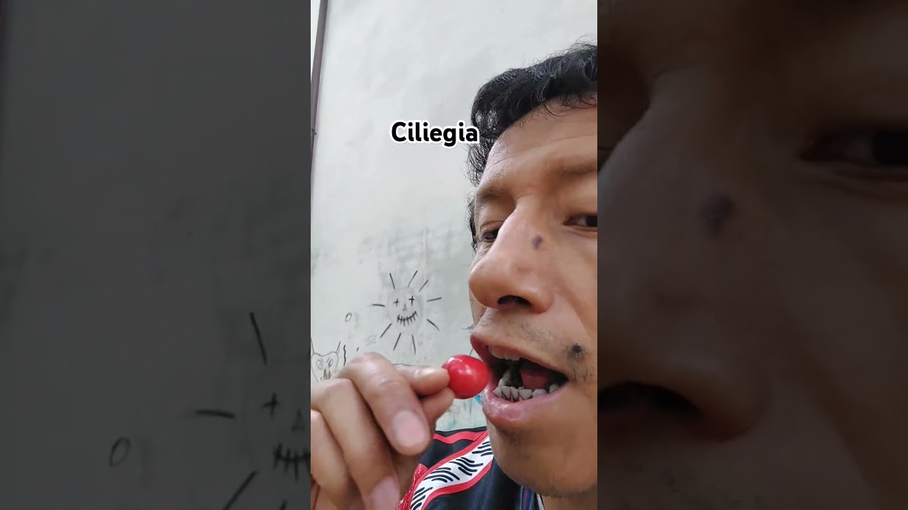 #ciliegia ....#ciliegie .... #cherry .... #cherries ... #raccogliendo  ... #picking