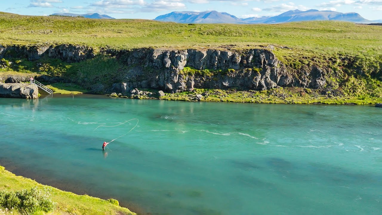 Salmon Fishing River Blanda - Incredible Day in Northern Iceland