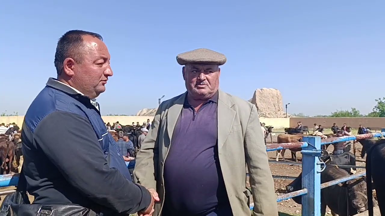 САМАРКАНД К,ИРЧА МОЛБОЗОР САВДОНИ УСТИГА РЕК! +998933379814