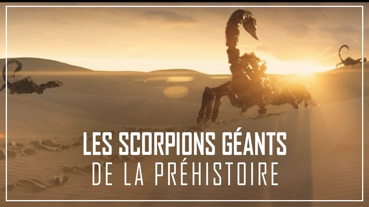 A quoi ressemblait la Terre à l'Époque des SCORPIONS GÉANTS ? | Documentaire Histoire de la Terre