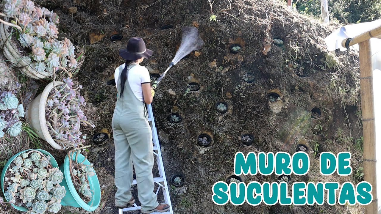 Plantando un jardín vertical de suculentas, plantas en un muro de tierra  | Candy Bu