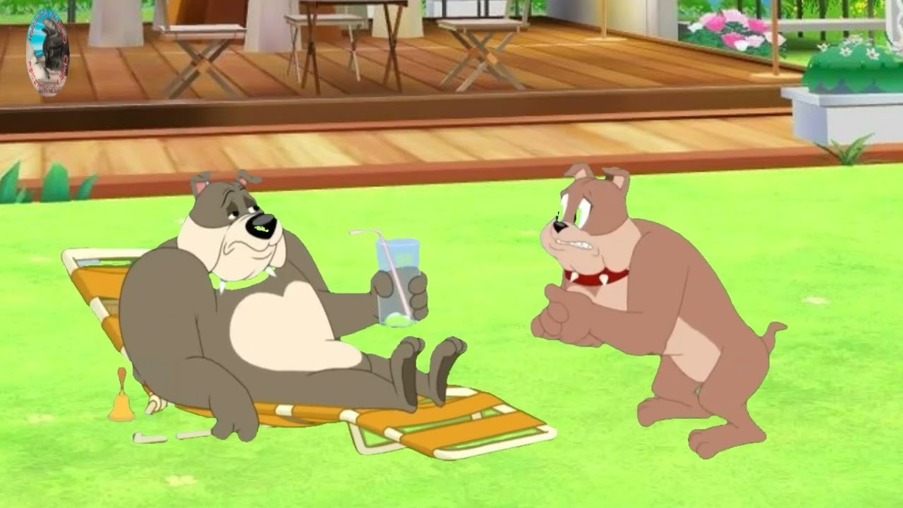 Spike (  Bulldog) Tom & Jerry