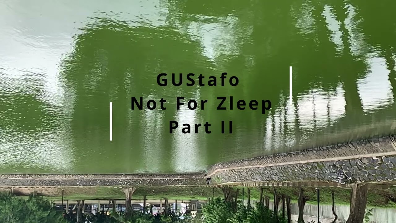 Gustafo   Not For Zleep Part II
