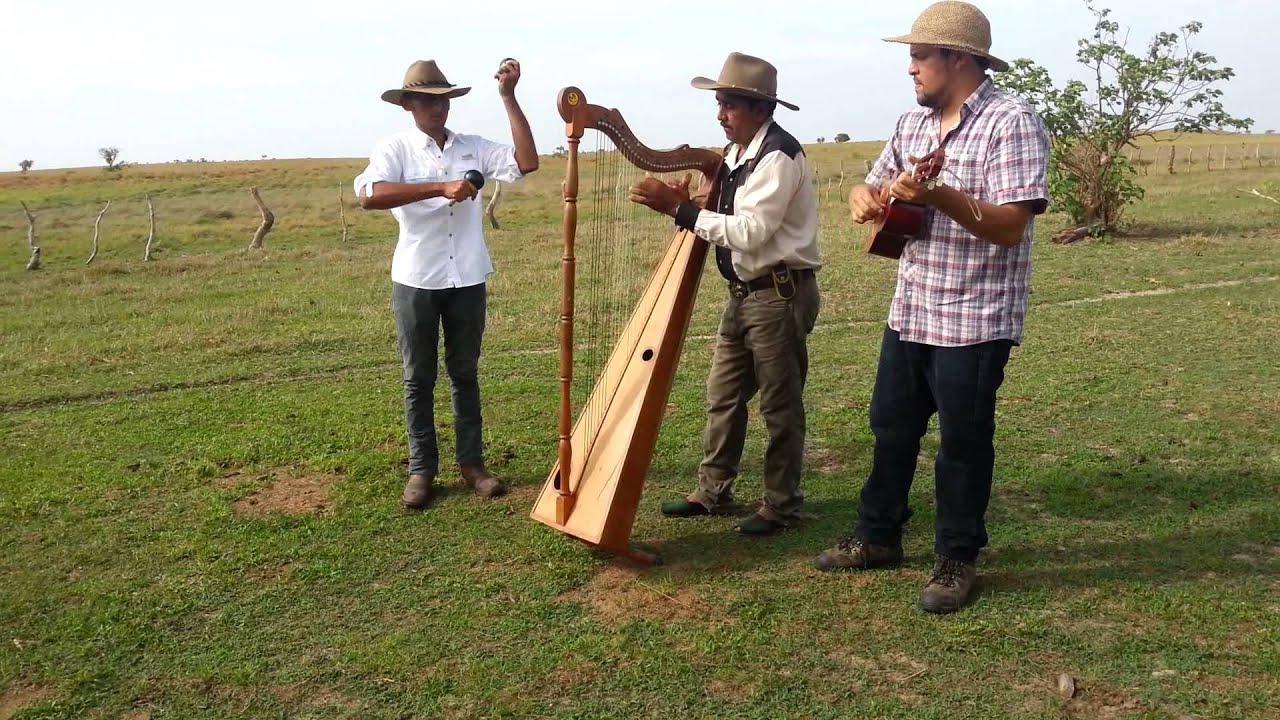 Arpa llanera del Apure 