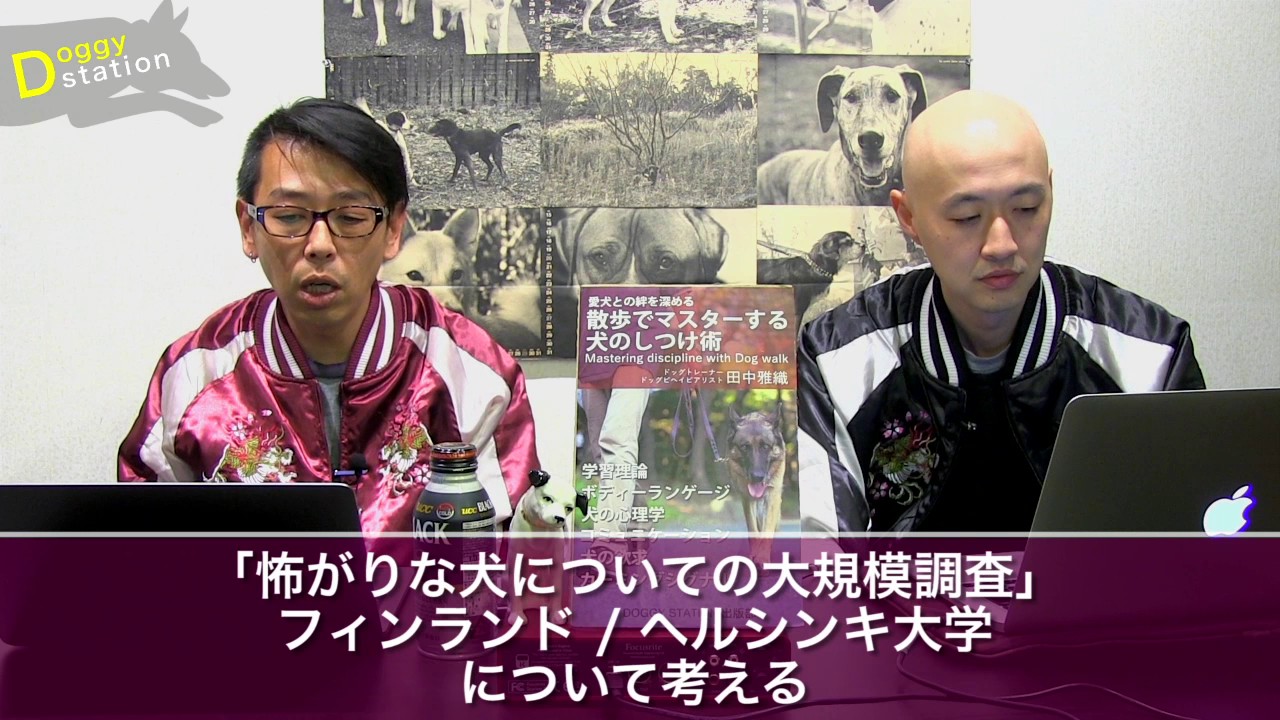 【調査】怖がりな犬についての大規模調査：DOGGY STATION Vol.63/犬のしつけ・問題行動・犬の心理学・犬の行動学・ドッグトレーナー・ドッグビヘイビアリスト