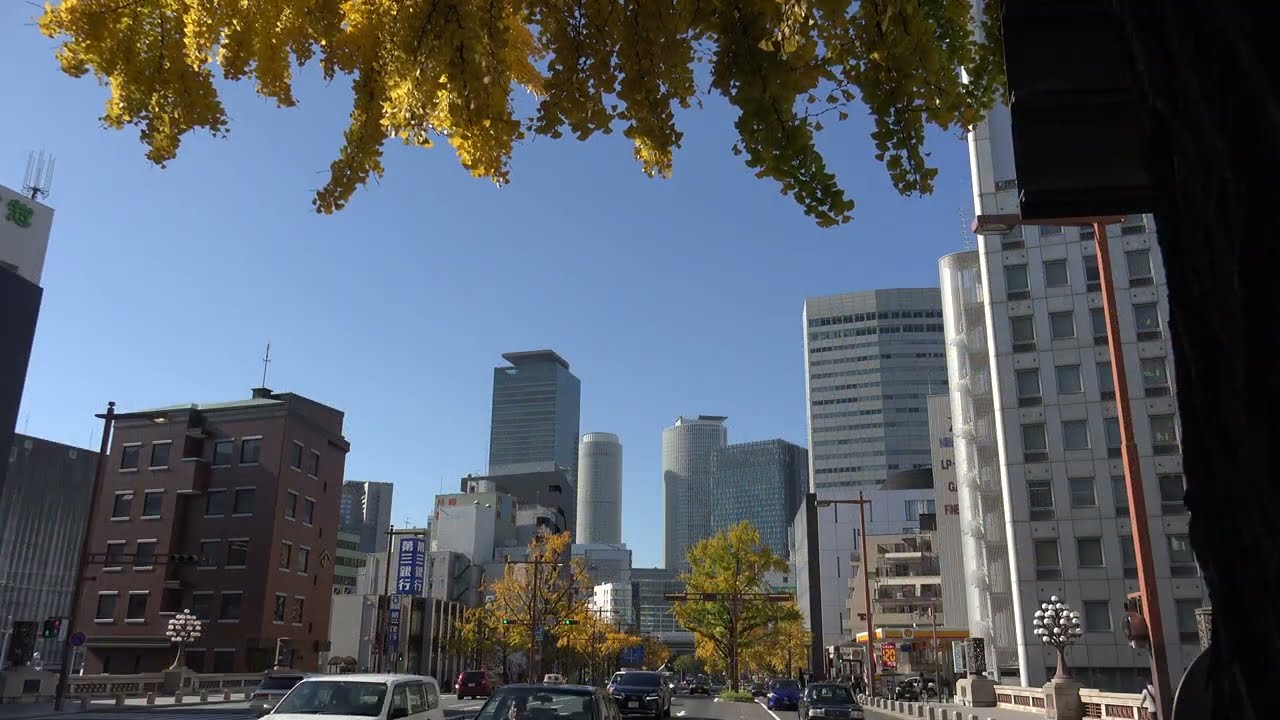 イチョウ並木 黄葉 紅葉 名古屋 桜通 映像 Cinematic  映像作品 シネマティック 4K