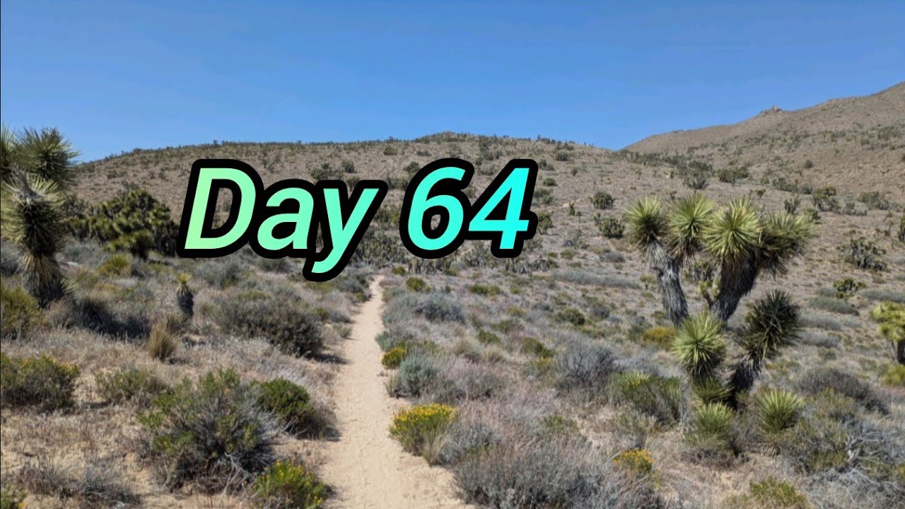 PCT 2025 | Day 64 - Too Many Joshs, Beach Walk, and New Record