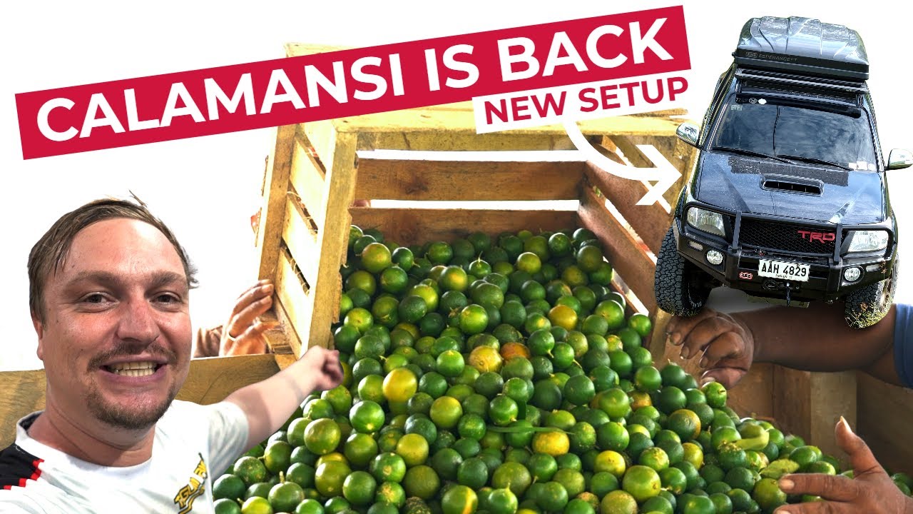 Calamansi Harvest Hilux Build! Preparing My Philippines Life!