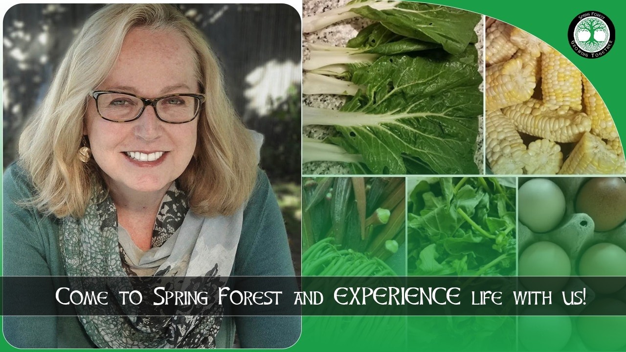 The Absolute Best Way to Combine Farming & Faith — Dr. Elaine Heath at Spring Forest