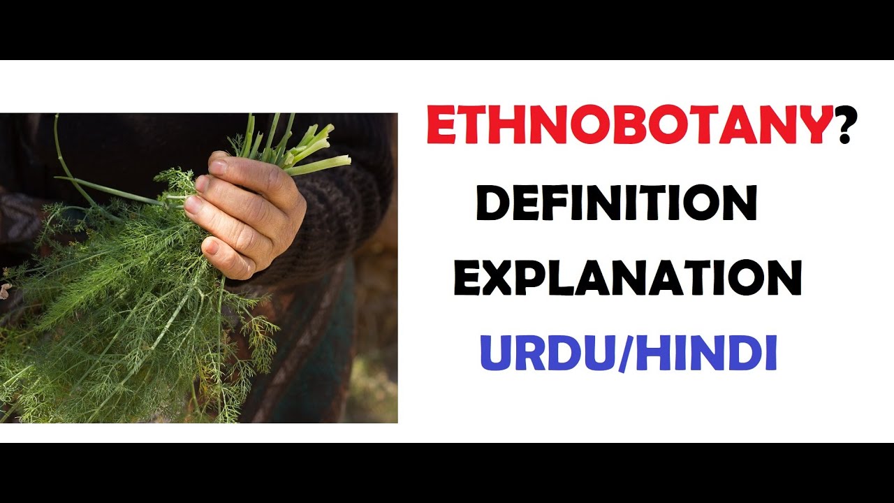 What is Ethnobotany?| Examples | Importance | Uses | Urdu/Hindi