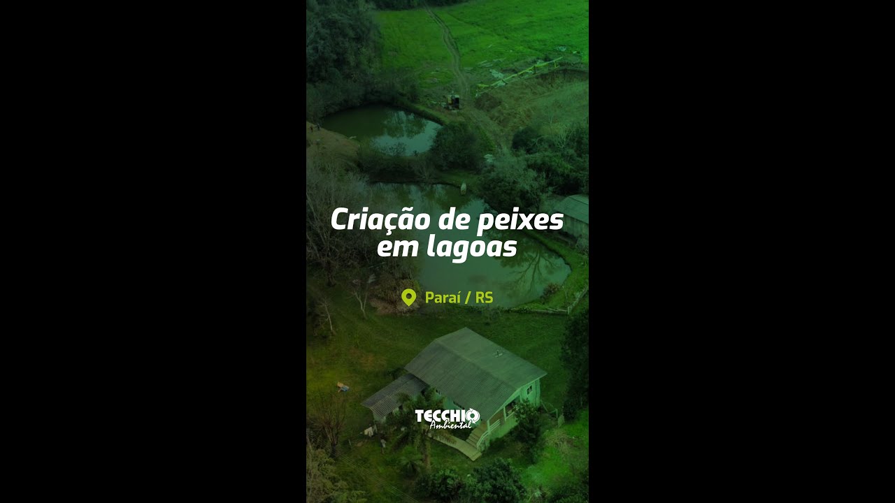 Cria&ccedil;&atilde;o de peixes em lagoas - Para&iacute; / RS