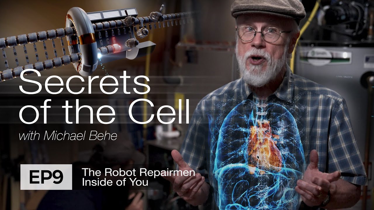Роботы-ремонтники внутри тебя (Secrets of the Cell, Эпизод 9 с участием биолога Майкла Бихи)