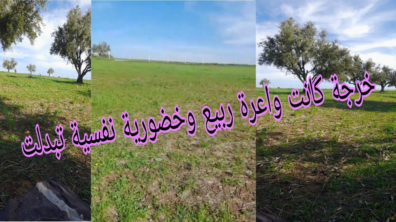 خريجة ولا أروع وسط طبيعة