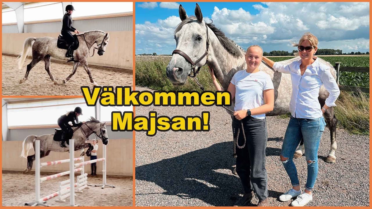 Följ med och hämta hem min nya häst!