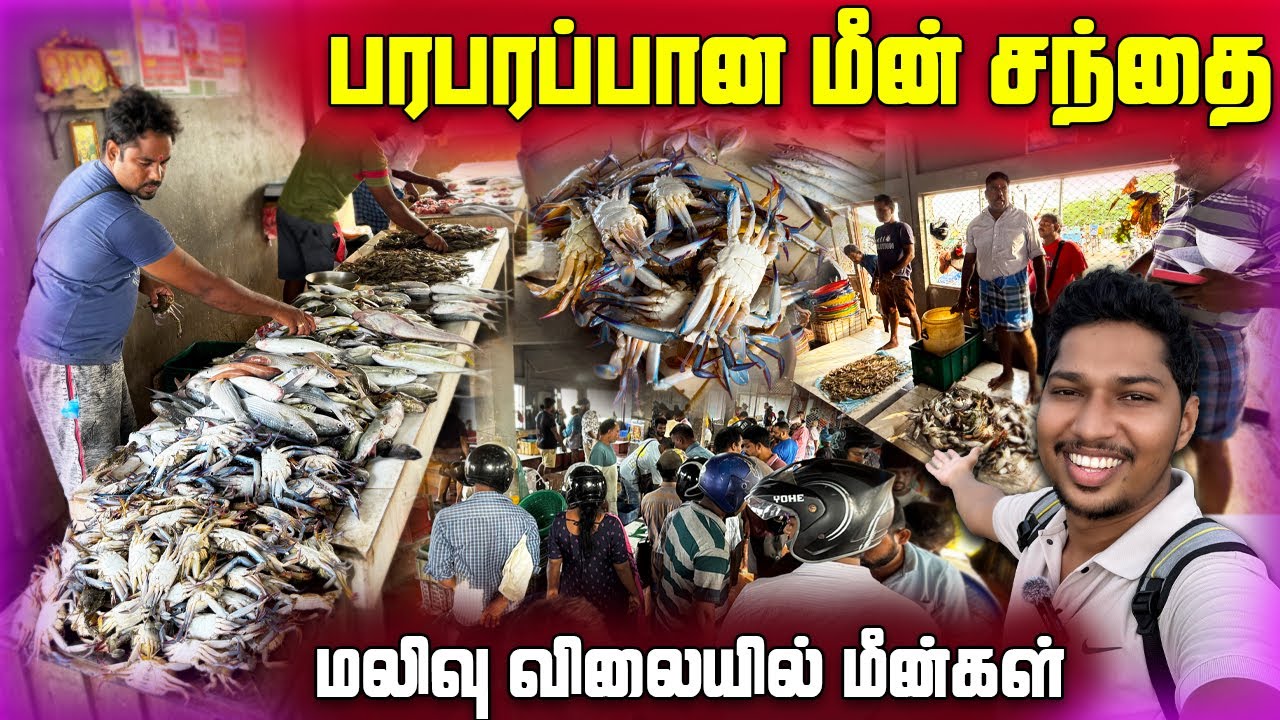 🛑யாழில் மலிவு விலையில் மீன்கள் 🐟 | குவியும் மக்கள் | Jaffna Fish Market | Ks shankar | Sri Lanka