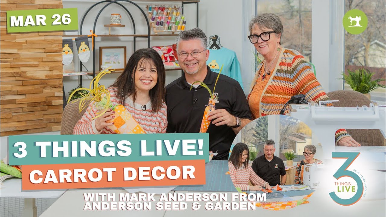 3 Things Live - Easy to Make Springtime Carrot Decor #carrots
