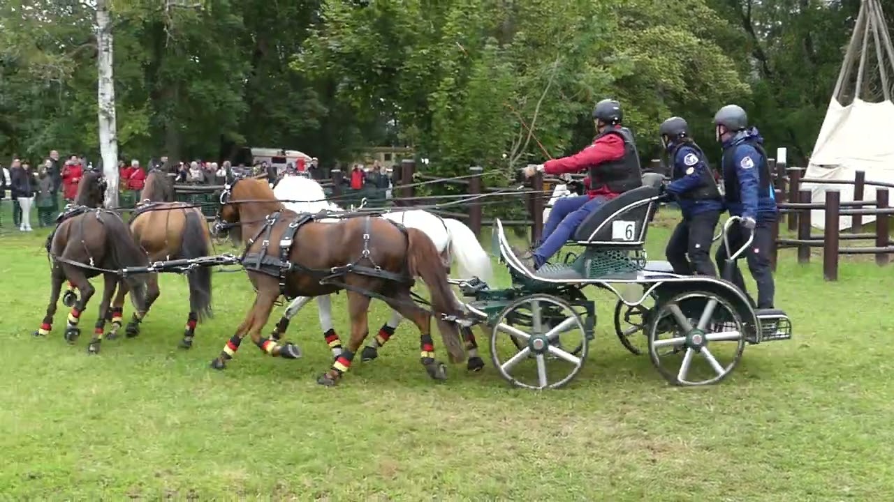 11 KOHLWEI&szlig;, Birgit, GER, CAIO4# P4, Donaueschingen, Marathon Ob5, Four in hand ponies, 14 09 2024