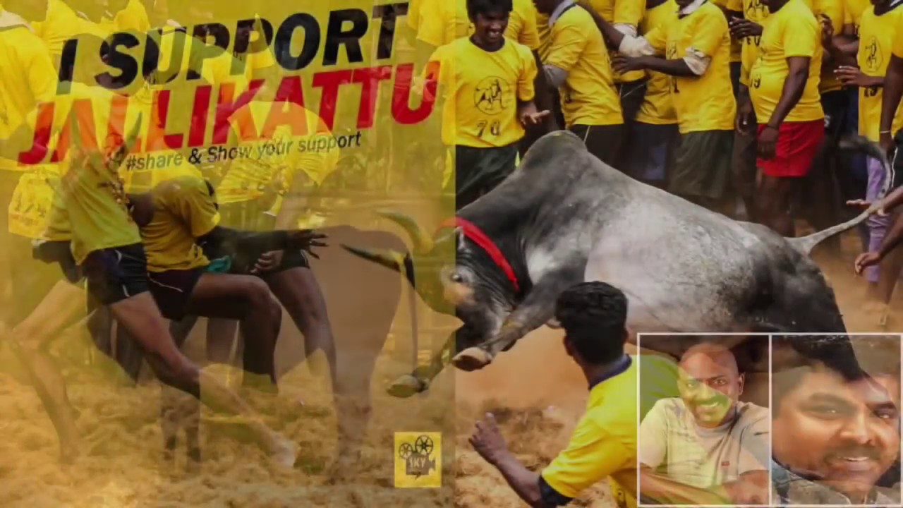 JALLIKATTU SONG COMPOSED AND SUNG BY VARSHAN / LYRICS SORKKO