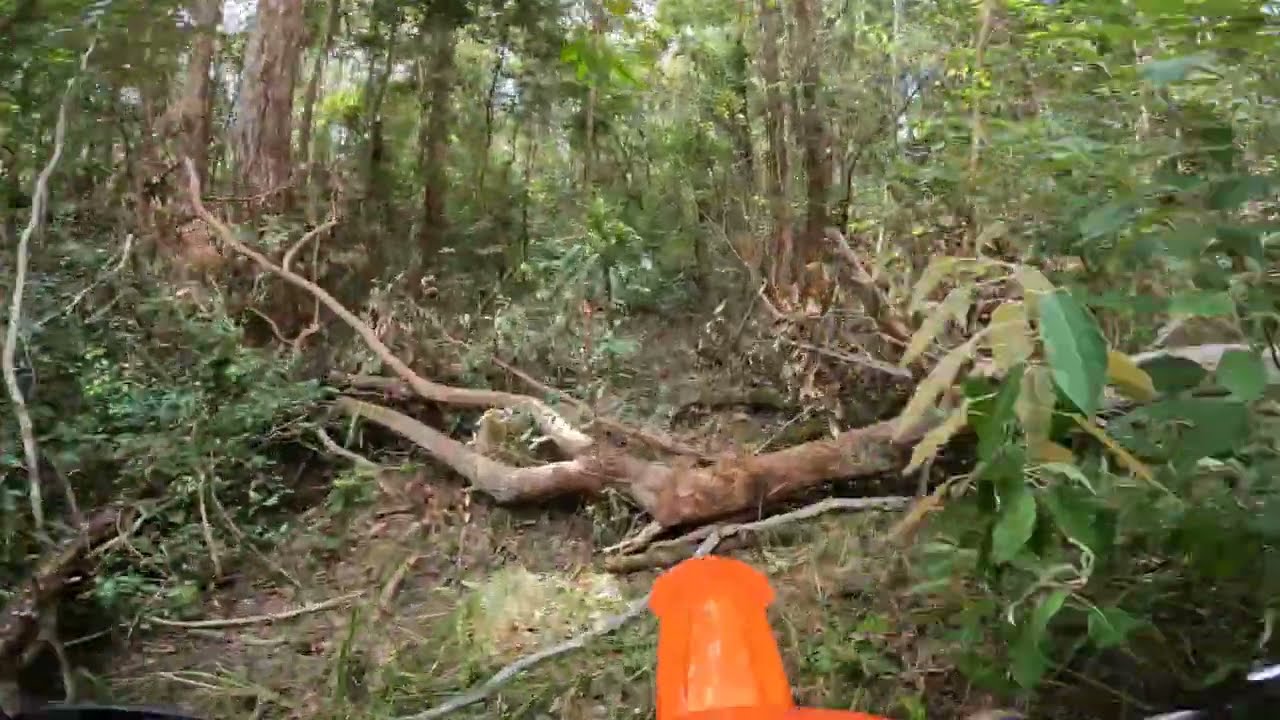 EP2: Second ride on the new 2023 KTM 500, Flowy single trail