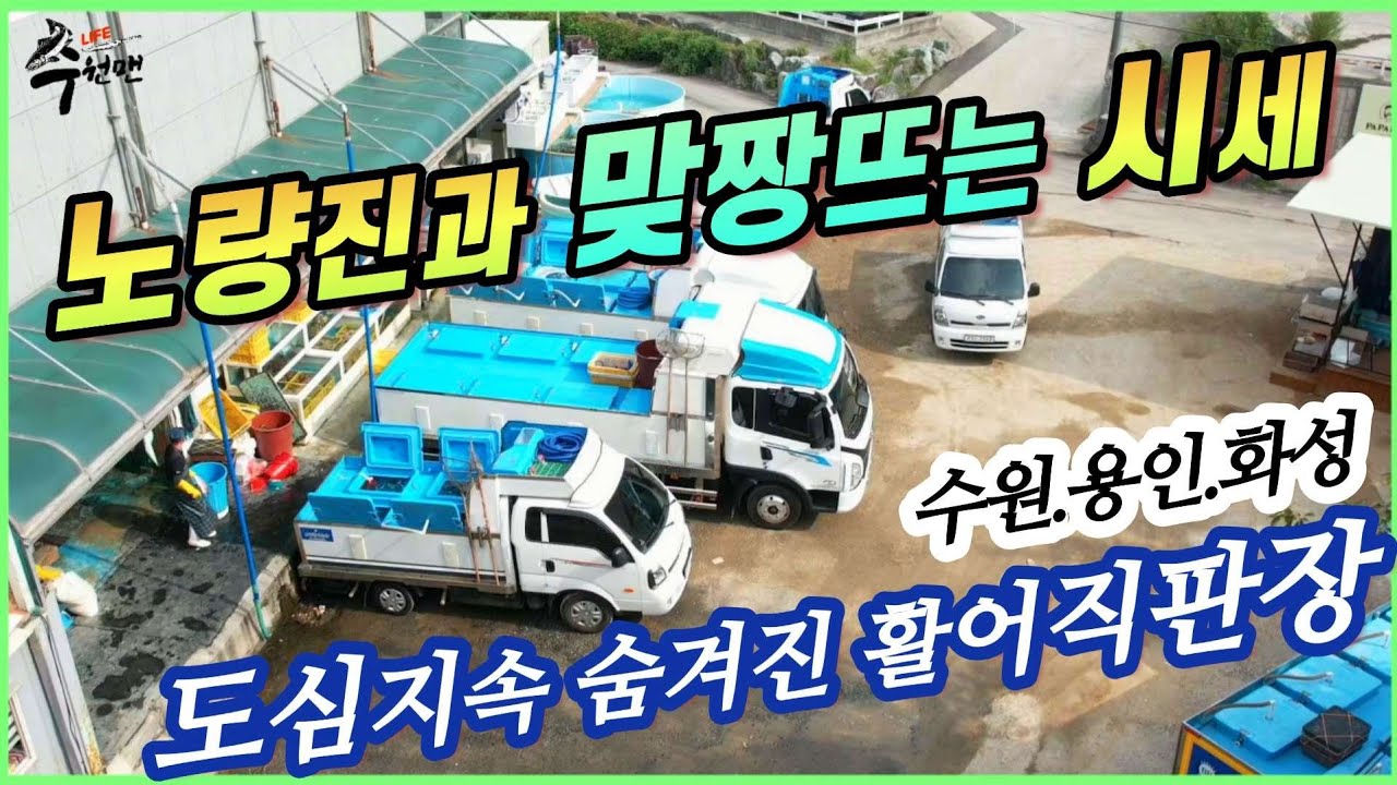 ☆멀리갈 필요 없어요. 집근처 둘러보세요~ 숨겨진 활어유통센터 하나쯤 있을 겁니다. 나만 알던 보령활어유통!!! 알려지면  흠~~~