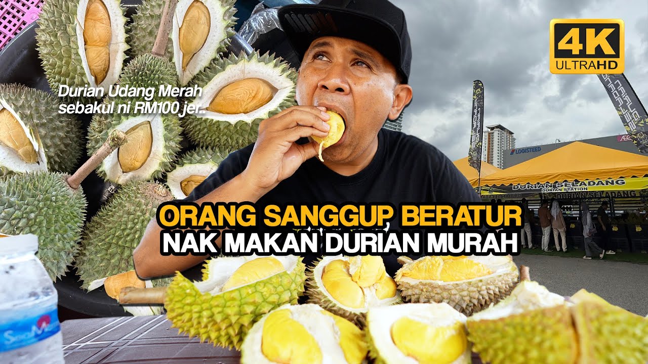 Ramai KECEWA Bila DATANG DURIAN Harga PROMO HABIS ! (4K)