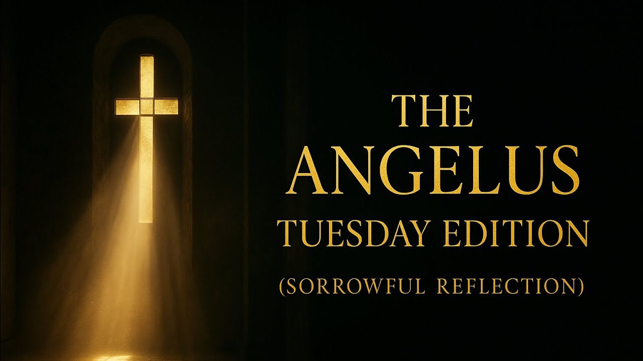 THE ANGELUS — TUESDAY EDITION (Sorrowful Reflection).