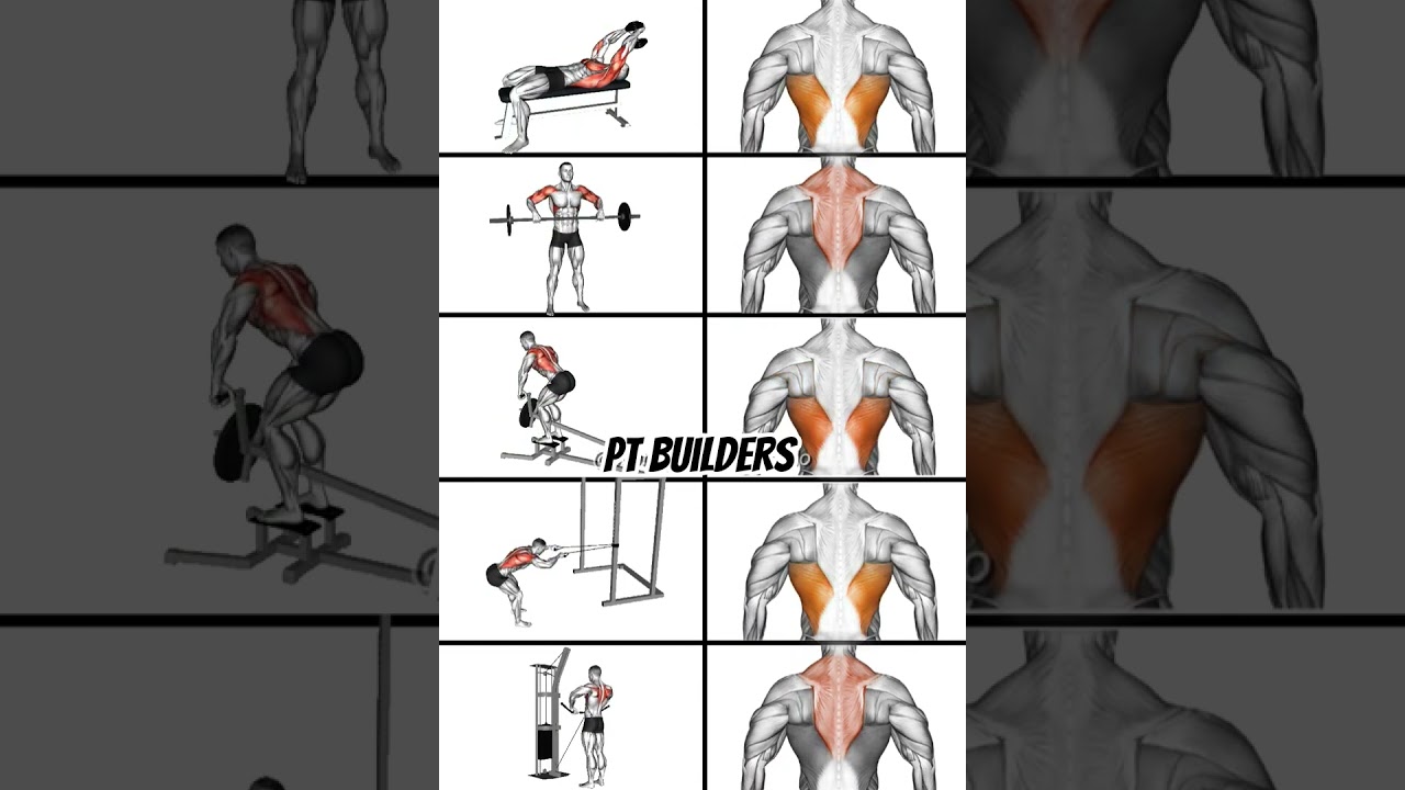 The Ultimate V-Shape Back Workout (Get Ripped FAST) 