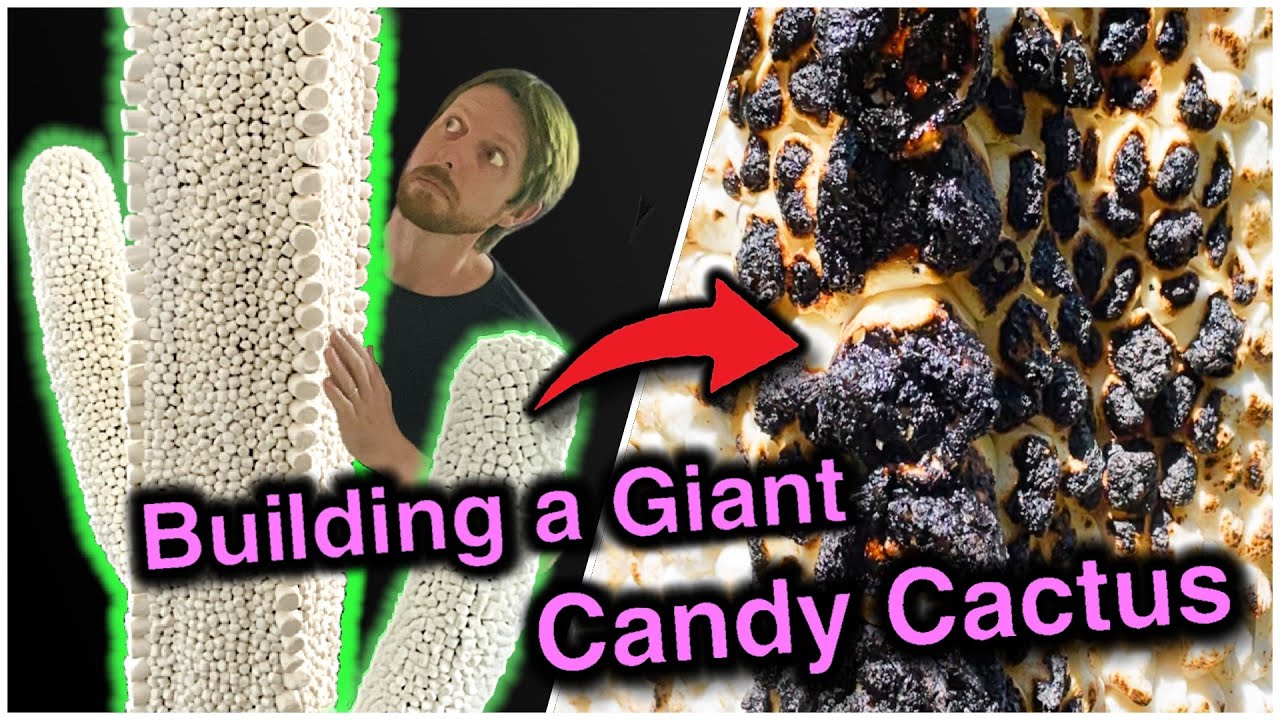 I Turned 10,773 Marshmallows Into a Giant Cactus (Then Destroyed It?)