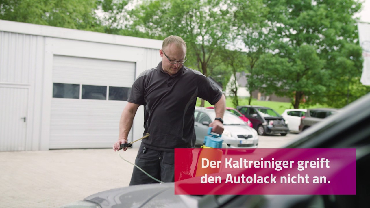 Tipps zur Autopflege: Insekten- und Vogeldreck entfernen