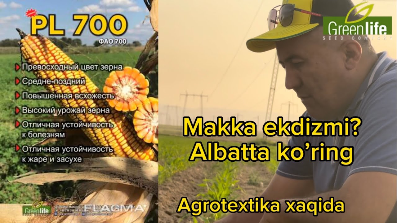 Albatta ko’ring muhim ma’lumotlar. Agrotexnika xaqida