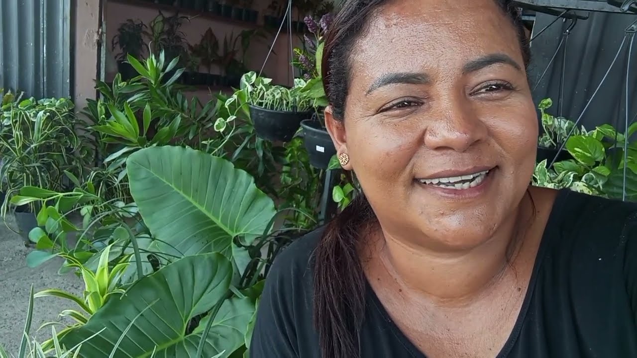 MUITAS PLANTAS A VENDAS NA FLORICULTURA jardim da cacau 😍🙏