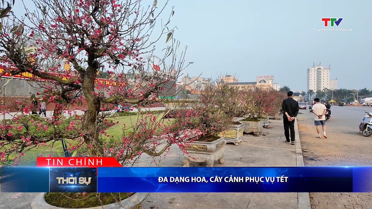 Bản tin Thời sự tối 30/01/2026 | Truyền hình Thanh Hóa