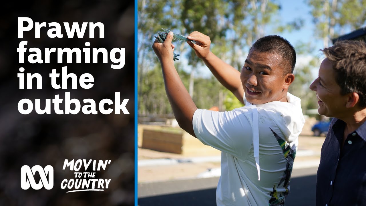 Prawn farming in the outback 🦐 | Movin’ to the Country | ABC Australia