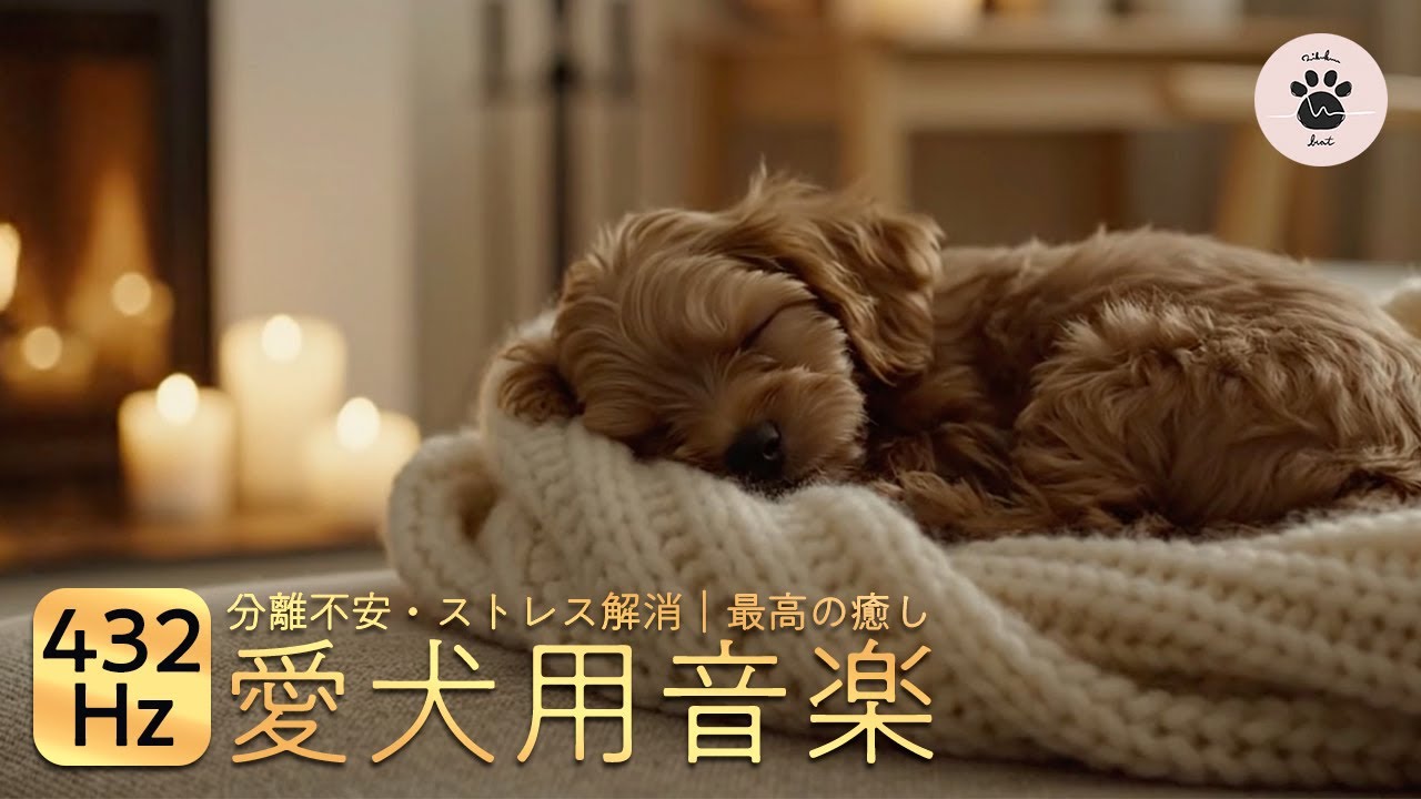 【愛犬用 睡眠音楽】愛犬がとろける魔法の休息｜暖炉とトイプードルの安眠ピアノ｜分離不安・ストレス解消BGM｜432Hz｜途中広告なし