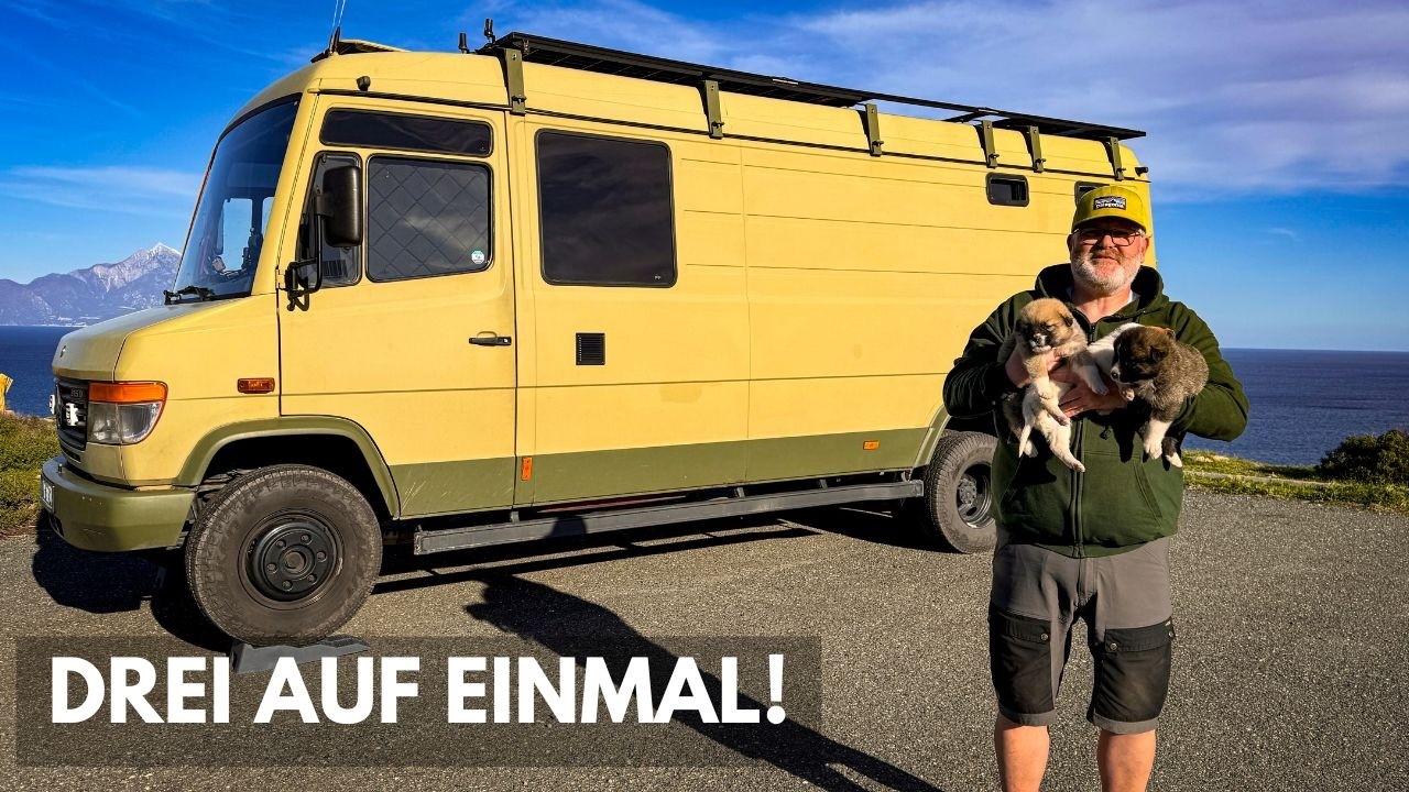 Welpenfund beim Vanlife in Griechenland | Freiheit oder Verantwortung – wie würdet ihr entscheiden?