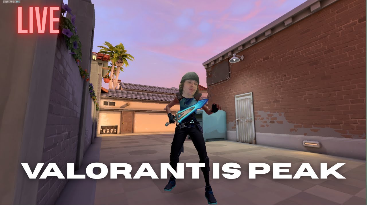 Valorant Is Making Me Poor !!!! (I LOVE RIOT GAMES)