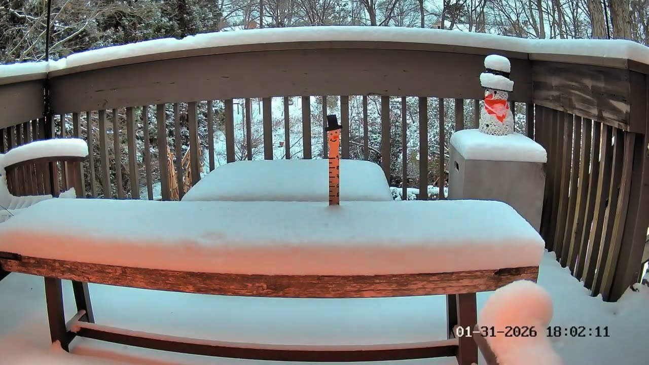 Time Lapse Of Winter Storm Gianna | January 31, 2026 | Snow Gauge