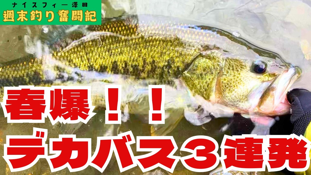 ５０アップを含むデカバス３連発！これが春爆か・・・
