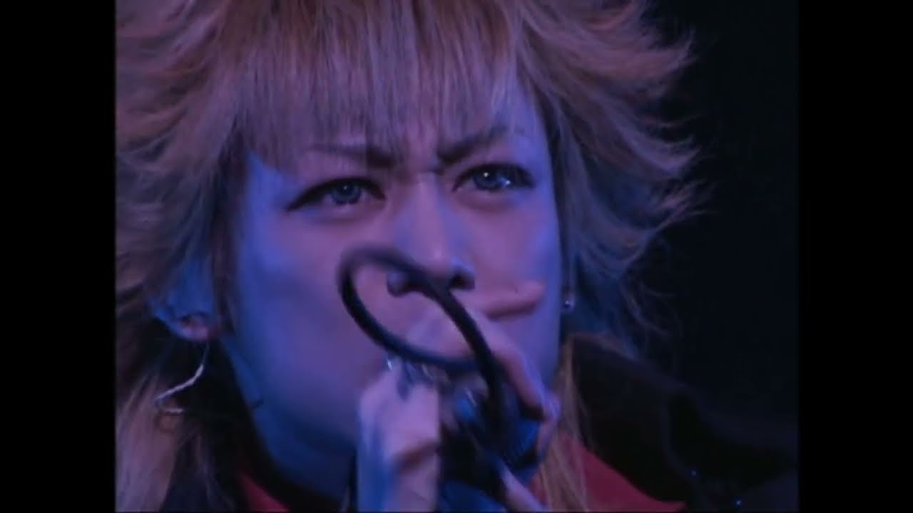 Dir en grey 「undecided」LIVE (2003)