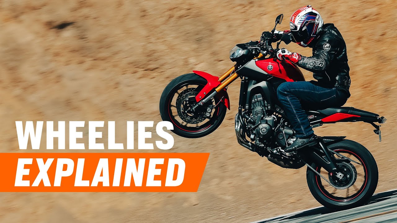 Why Motorcycles Wheelie | The Shop Manual