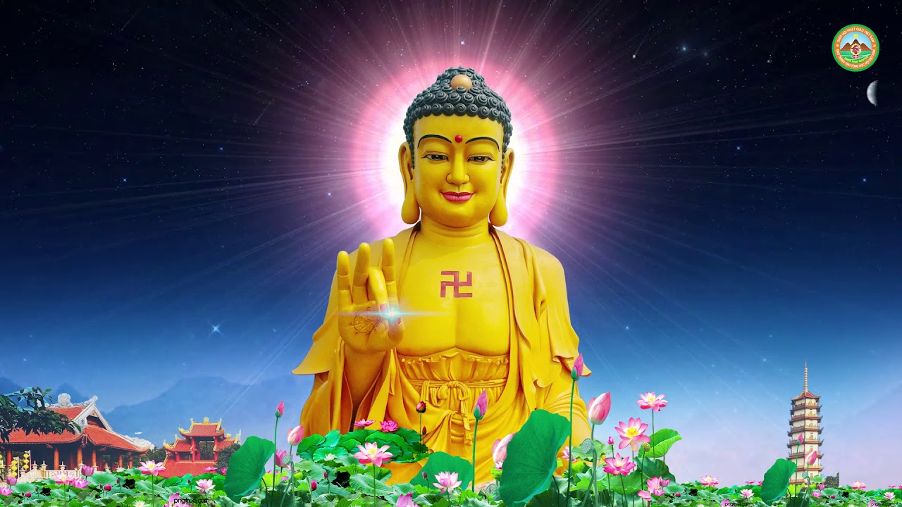 Tán Thán Phật A Di Đà Pháp Hội Trung Phong TTHN Chùa Khai Nguyên Video Full HD