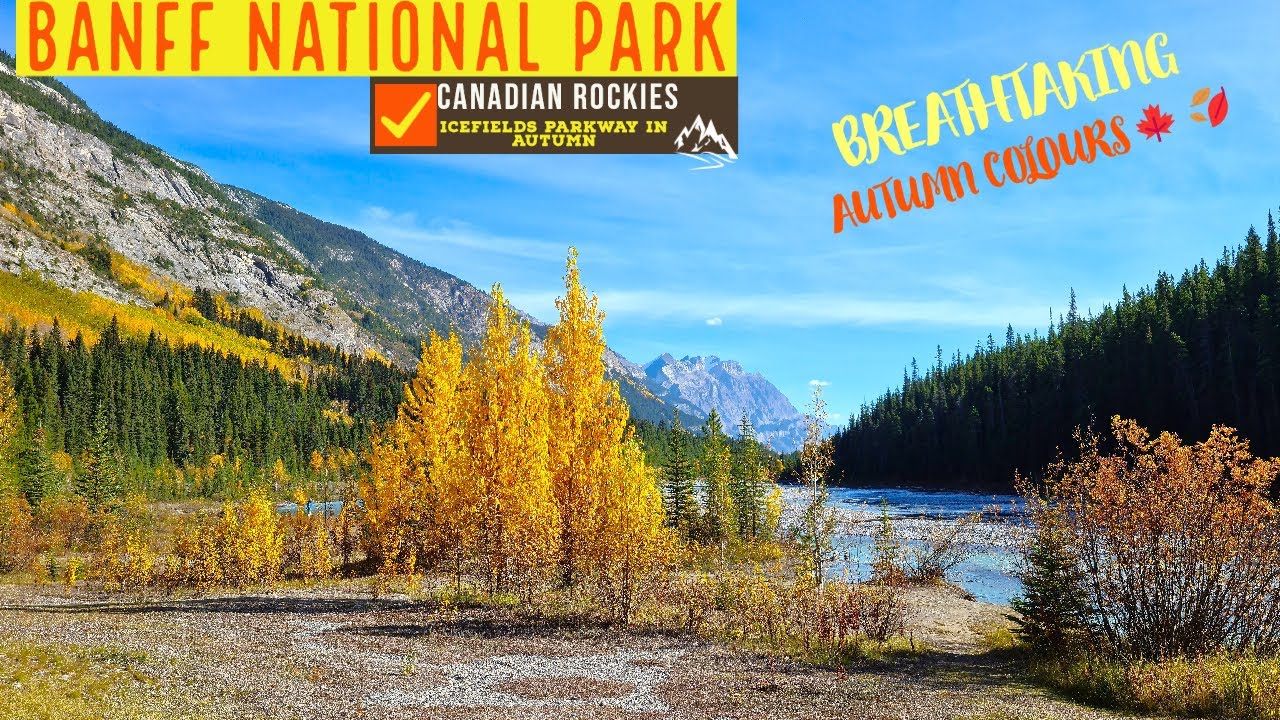 Banff National Park in Autumn - Beautiful Icefields Parkway to Banff Scenic Drive #canadianrockies