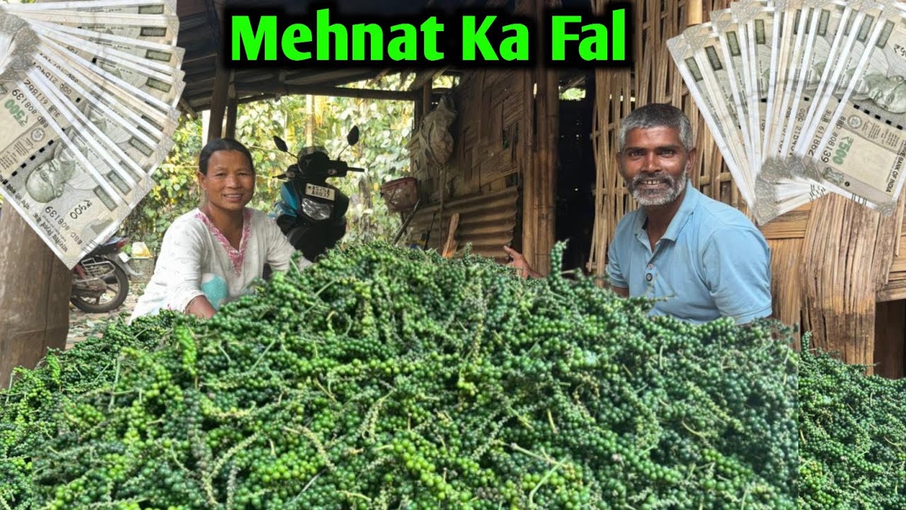 95 Kilo Ho Gaya Rs 12450 Mila Hai | Village Life 