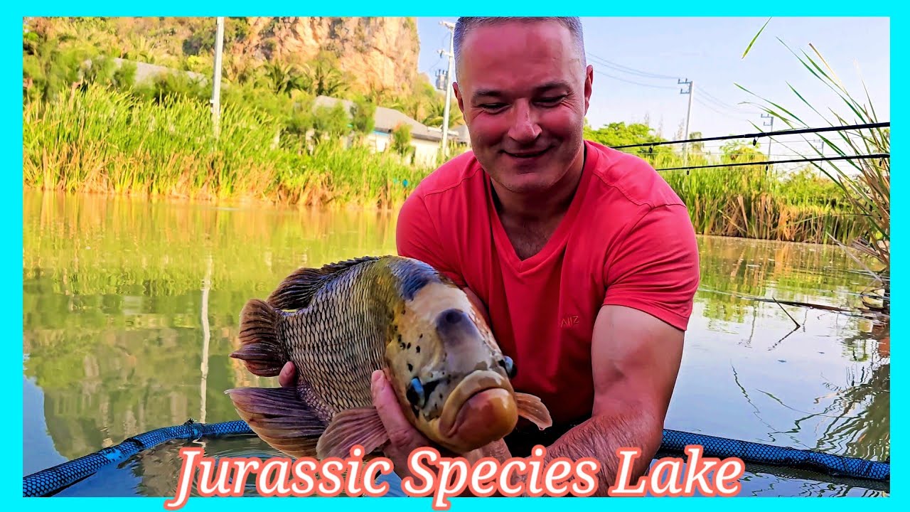 Jurassic Mountain Species Lake #fishing  #thailand #fish #video