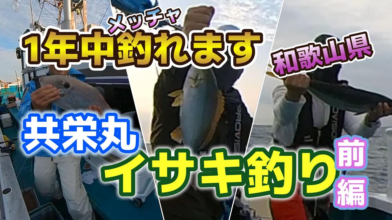 【釣り】年中イサキが楽しめる！和歌山・共栄丸で快適な釣り！前編